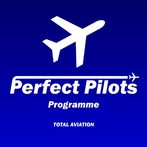 perfect_pilot_logo emote