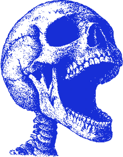 Skull19 emote