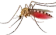 Mosquito emote