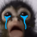 MonkeyCry emote