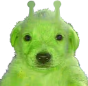 Glortchua emote