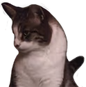 george emote