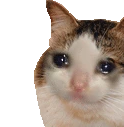 CatSad emote