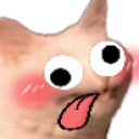 CattoDerp static emote