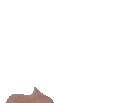 PayUp emote