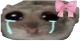 OhCry emote
