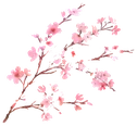 CherryBlossomBranch emote