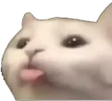 CE_Blep2 emote