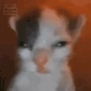 MEDOXEAN emote