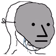 npc_mask emote