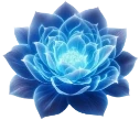 flower emote