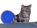 getreal emote
