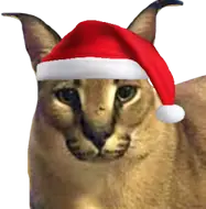 christmas_floppa emote