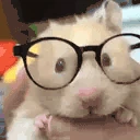 hamsterNerd emote