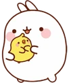 Bunny_snuggles emote