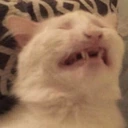 CE_inpain2 emote