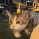 weeee emote