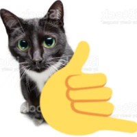 callmecat emote