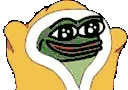 BLANKIES emote