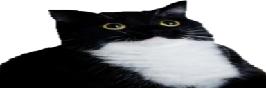 bigboobs emote