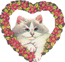 Catheart animated emote
