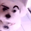 Ayo emote