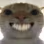 cat emote