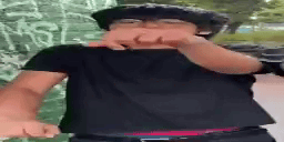 zVibe animated emote