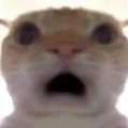 0 emote