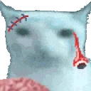 veryCat emote