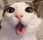 Pag emote