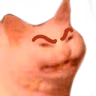Catangry emote