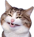 catsmile emote