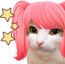 kiisu_kawaii emote