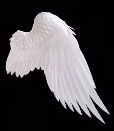 wingR emote