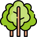 forest_trees emote