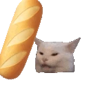 bonk emote