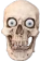 insane_skull emote