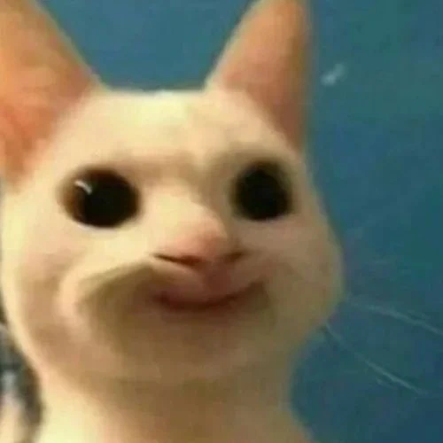 cat emote