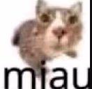 miau emote