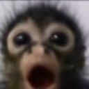 monkey emote