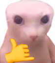bingusrad emote