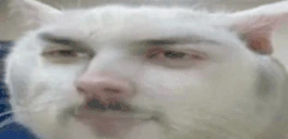 DAAAAA emote