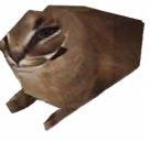 Flopge emote