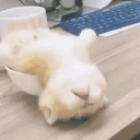 eep emote