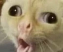 catcough emote