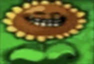Flower emote
