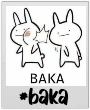 bakacard emote