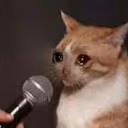 CE_SadCatMic emote