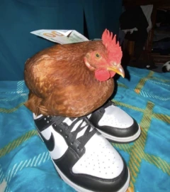 gallo emote